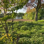 Xantenamera In Xanten-wardt Am Xanten