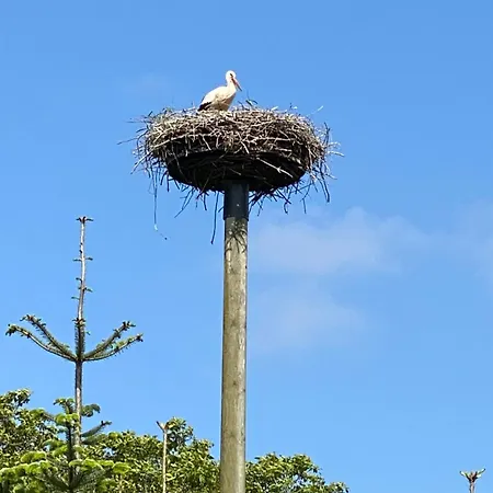 別荘 Xantenamera In Xanten-wardt Am