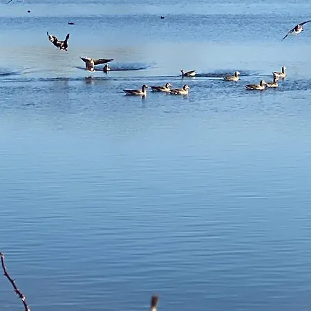 Xantenamera In Xanten-wardt Am *