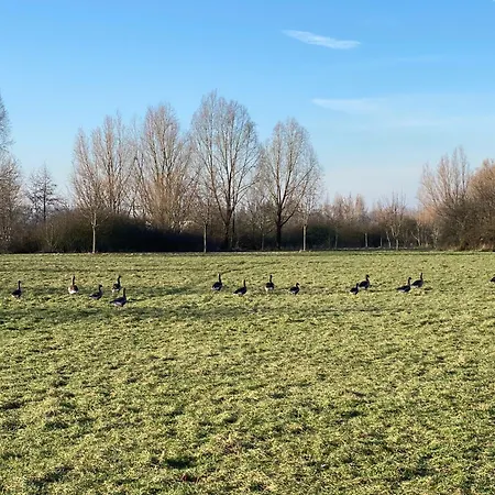 Xantenamera In Xanten-wardt Am * Xanten