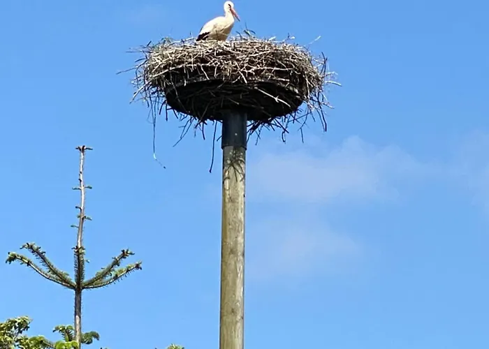 Semesterbostad Xantenamera In Xanten-wardt Am