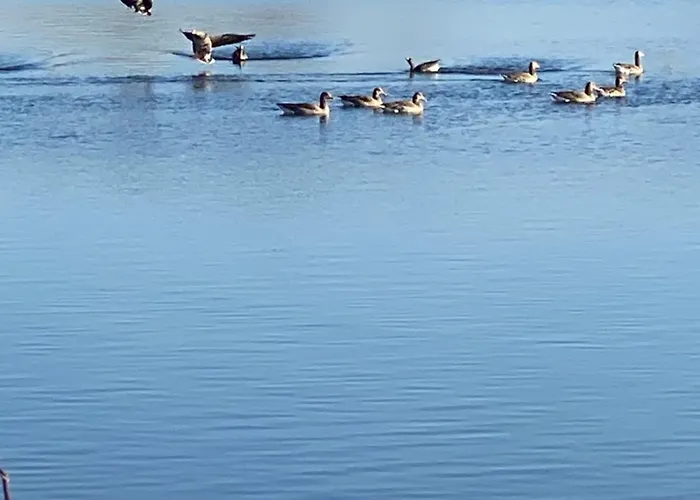 Xantenamera In Xanten-wardt Am *