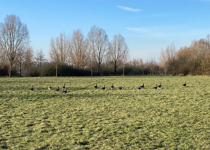 Xantenamera In Xanten-wardt Am * Xanten